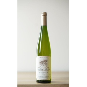 Alternative view of Pinot Gris 2017