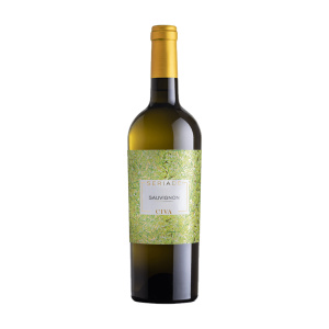 Sauvignon Blanc Seriade 2025